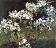 William Stott of Oldham White Rhododendrons USA oil painting artist